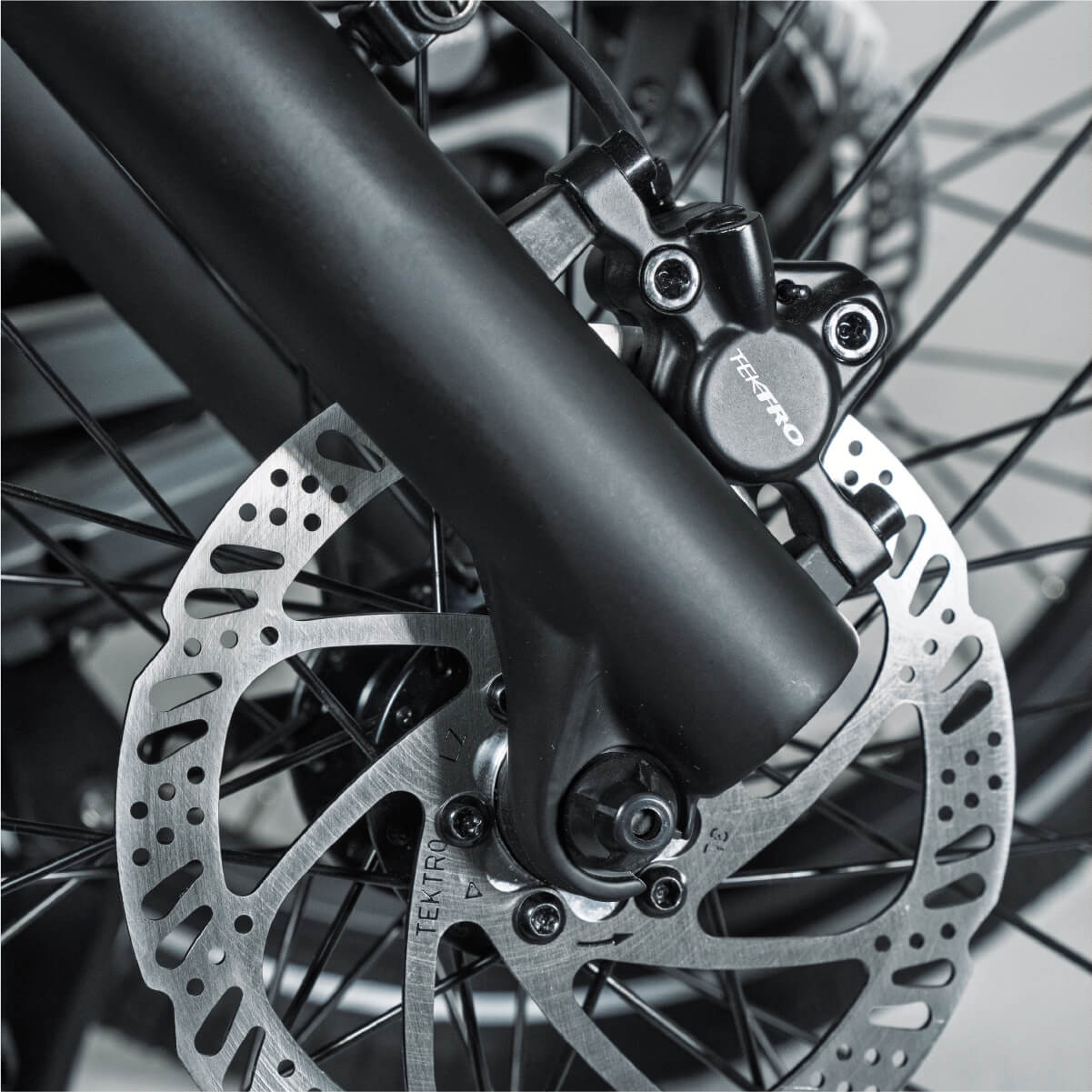 2GO E-Bike