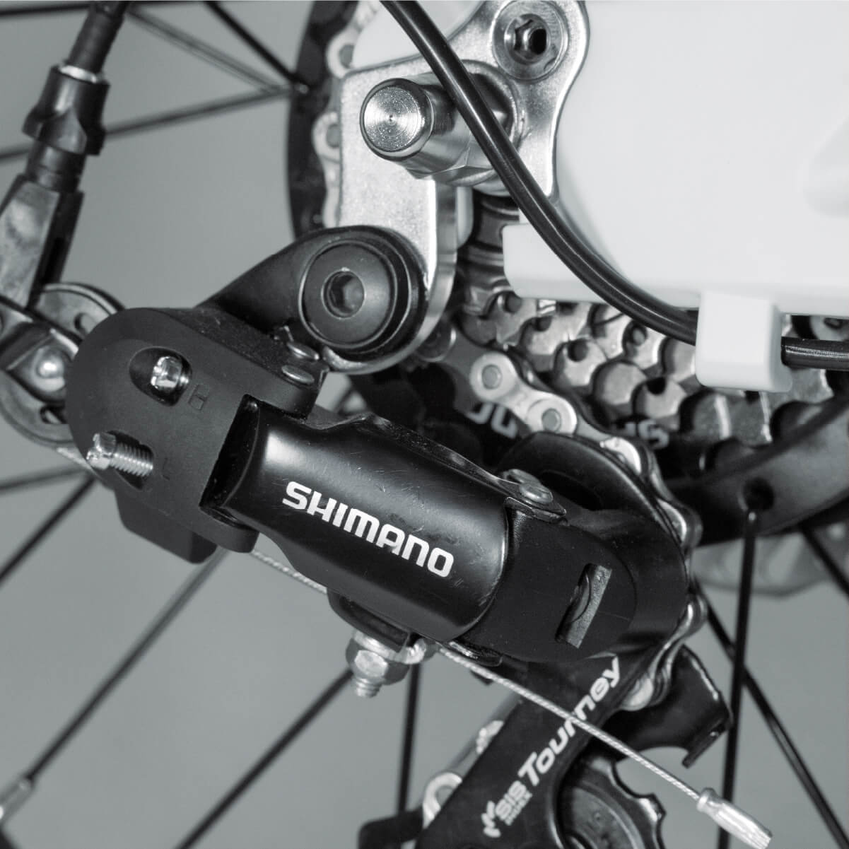 2GO E-Bike