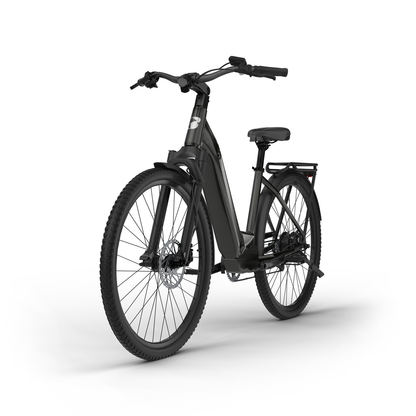 SUV E-Bike